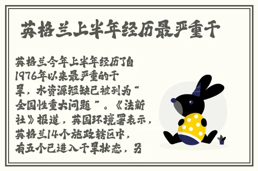 张韶涵**视频网站