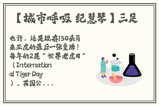 国产黑料不打烊传送门