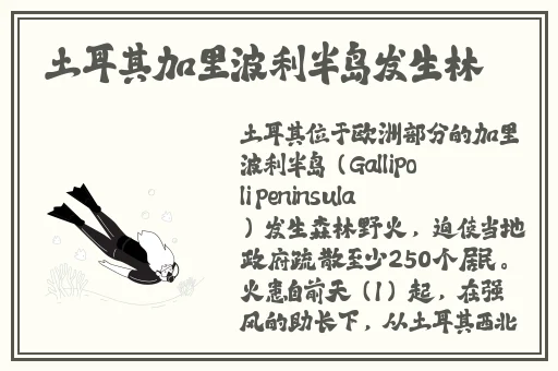 九一传媒公司制作网站
